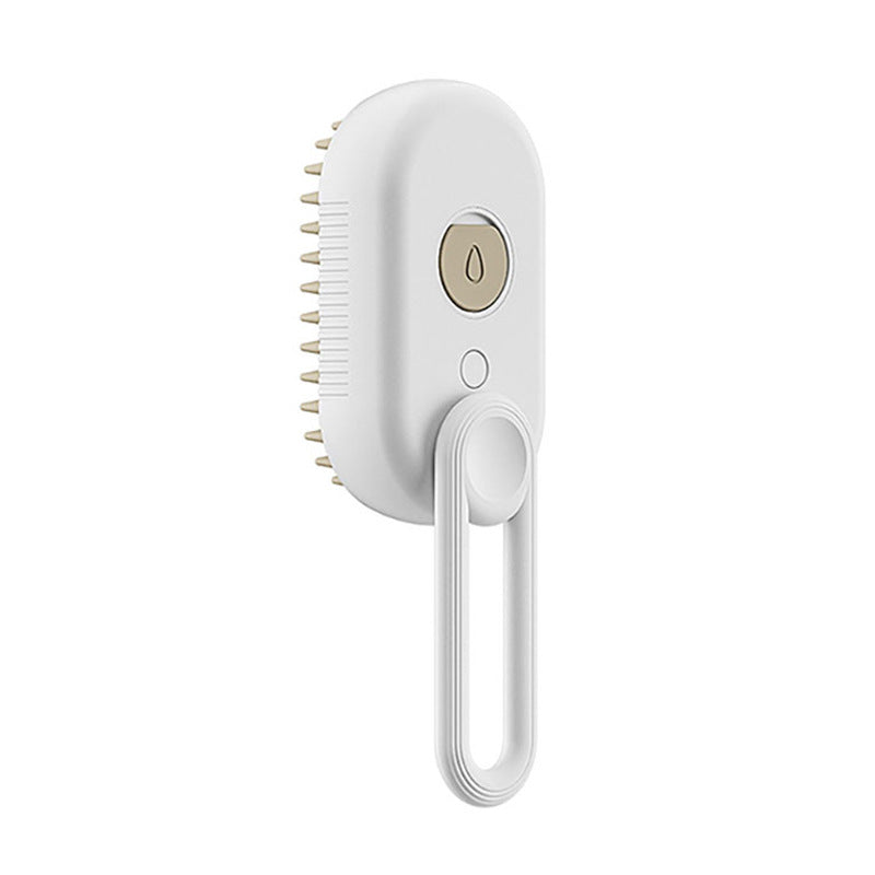Electric Steam Spray Grooming Brush